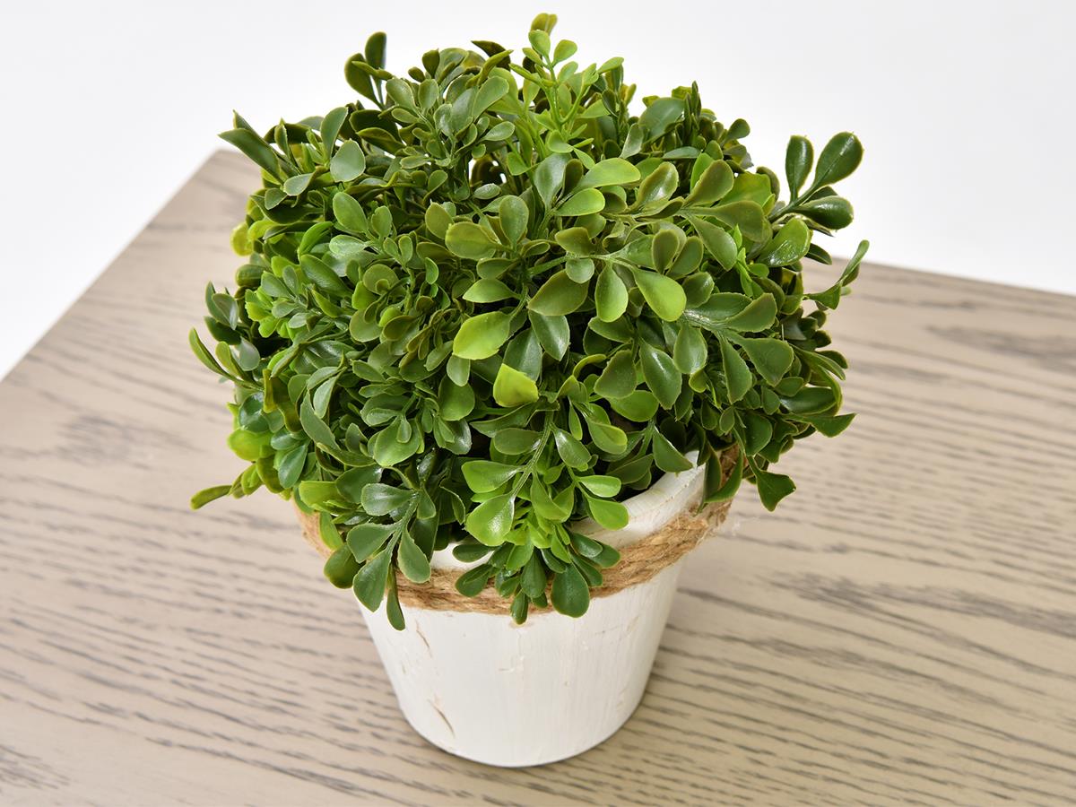 Artificial Boxwood, Small